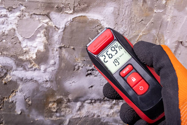 Best Mold Testing and Removal  in New Miami, OH